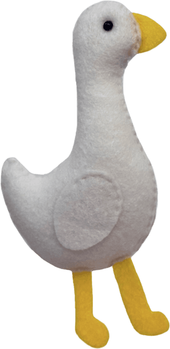 Canard